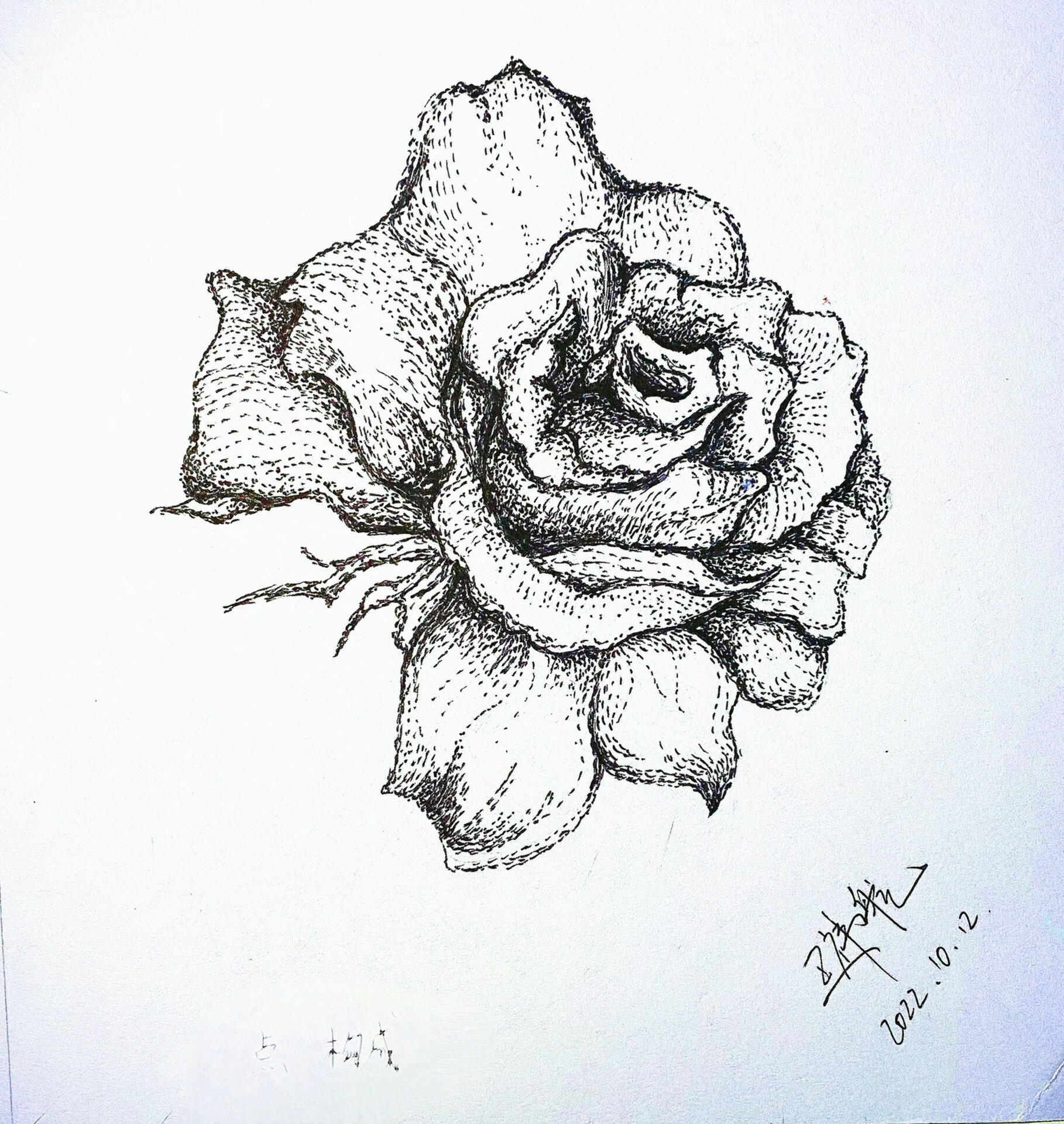 近期构成作业 画了这么长时间构成作业还是发一下吧 图一:点构成(临摹