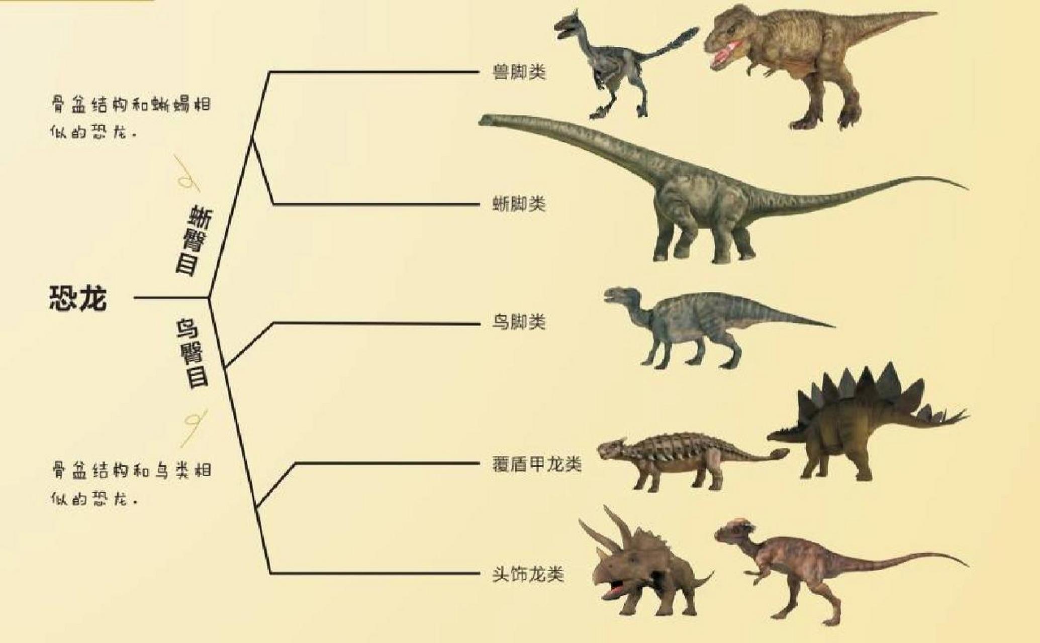 恐龙种类大全 文字图片