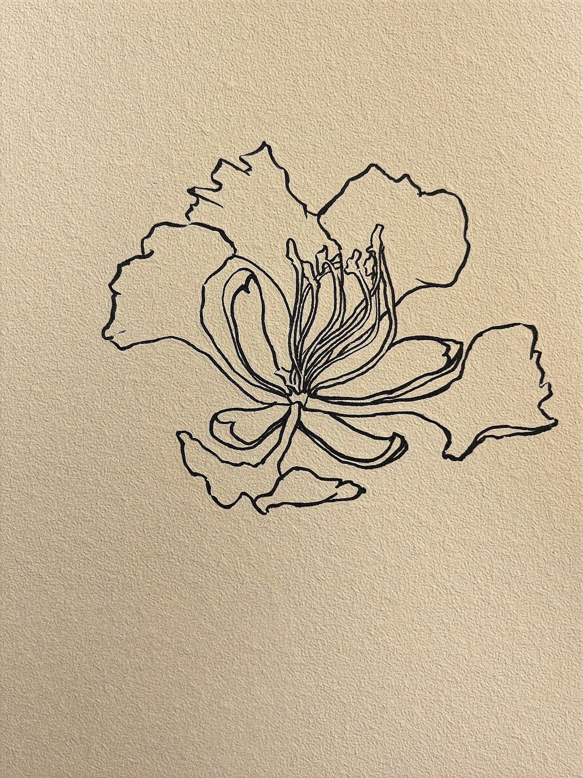 122 不用画线稿的简笔花卉·凤凰花96 那年,小幺她的苍玹哥哥还在