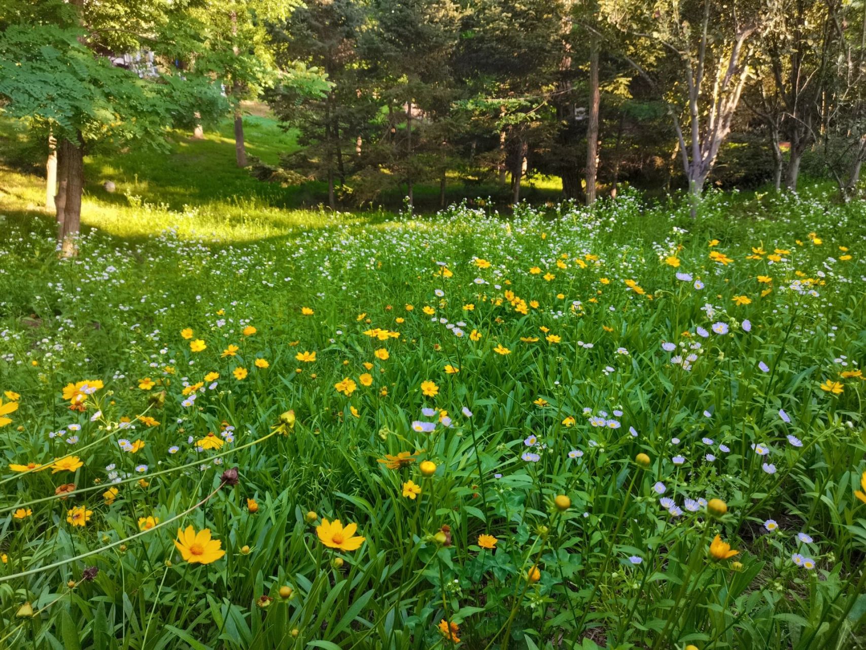 大连西山湖公园