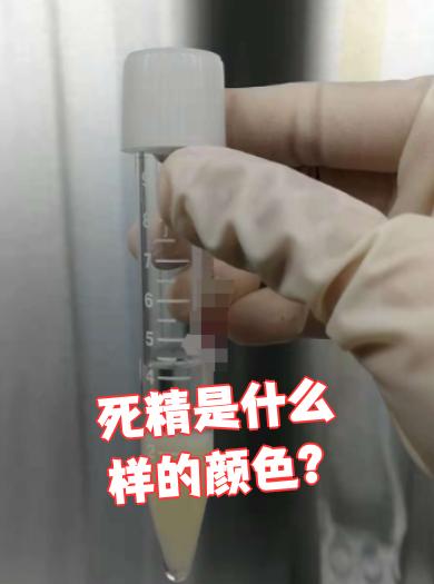 死精是什么样的颜色?