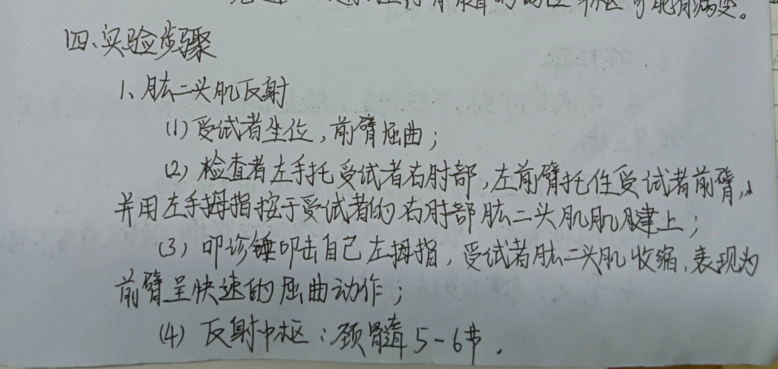 牵张反射和腱反射图片