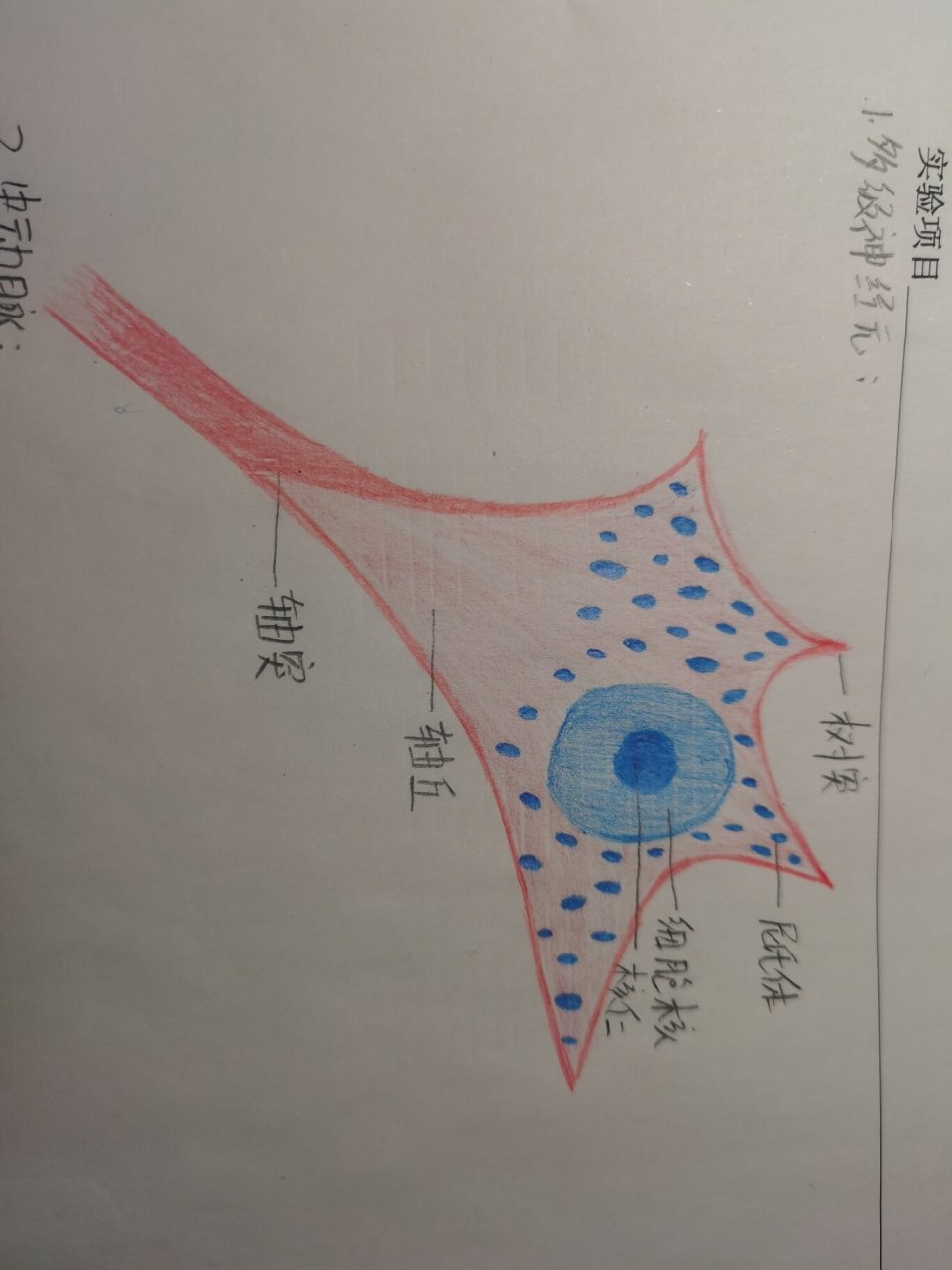 轴丘图片