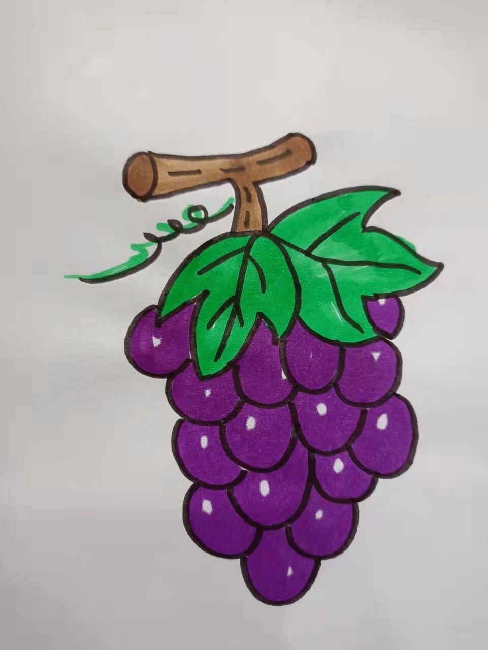 葡萄简笔画