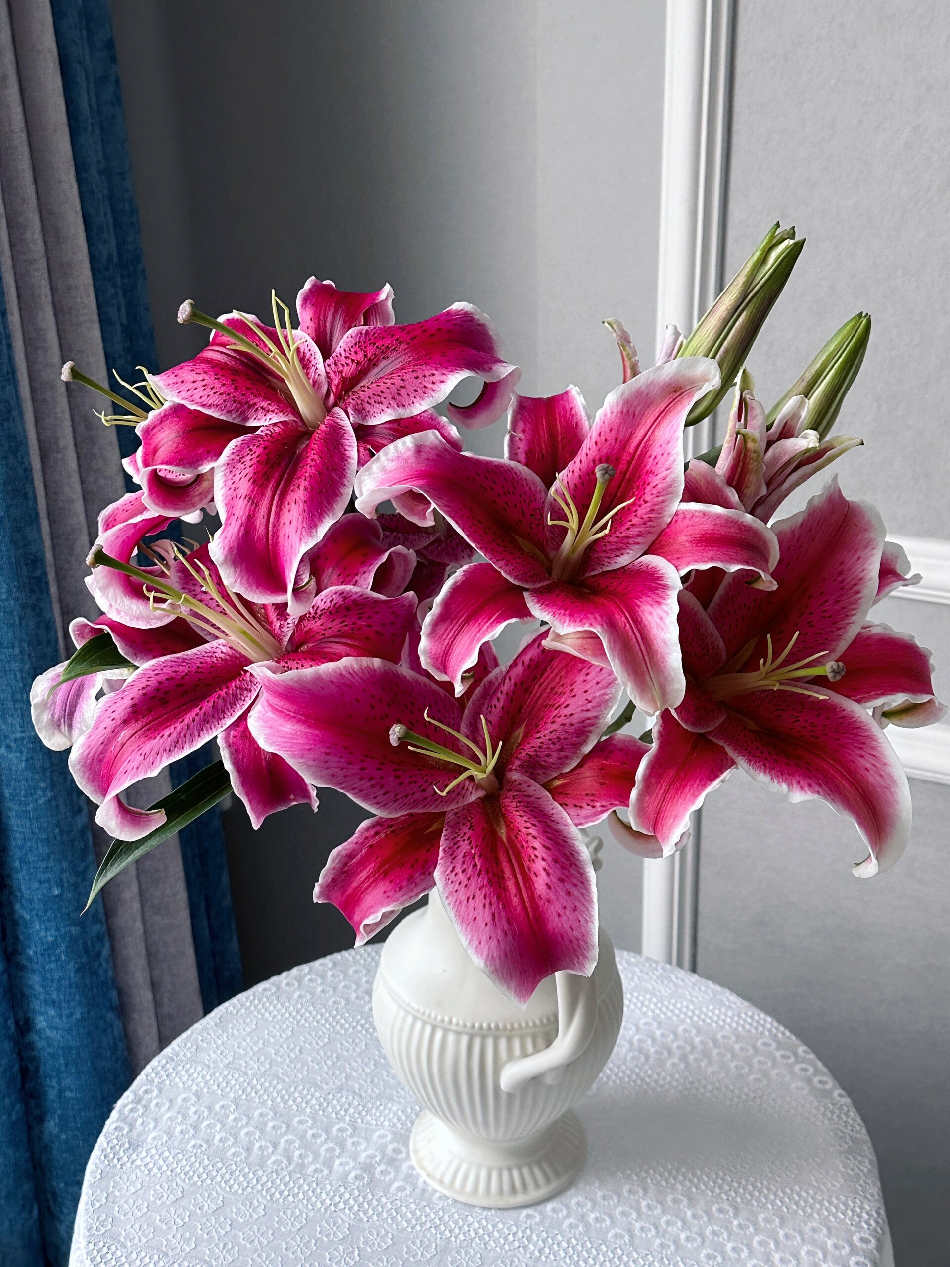 卡瓦娜百合(黑美人) 好像没多少人喜欢她呢我挺喜欢的,很贵气的样纸