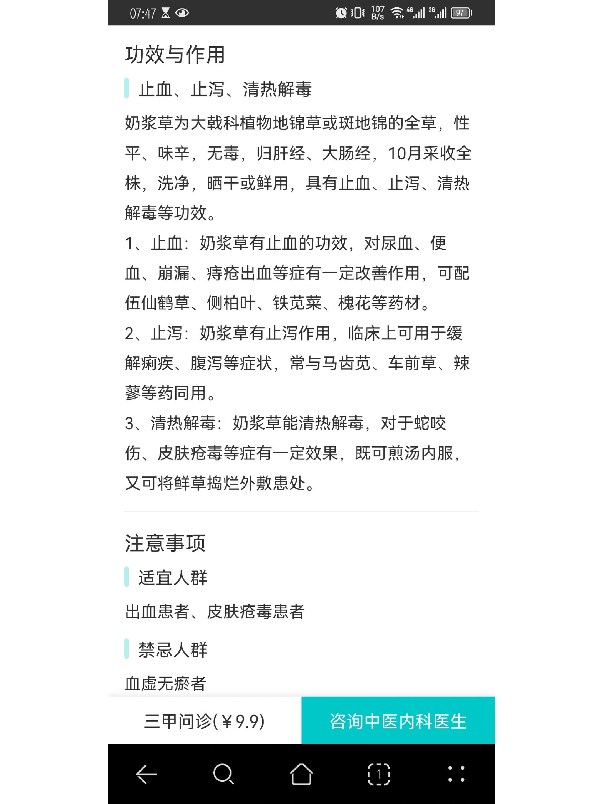 下火药之奶浆草 奶里奶气的奶浆草,娇小可爱,随处可见
