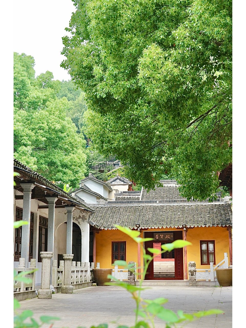 苏州包山禅寺禅修体验分享 最近内耗很厉害 遂展开一场自救之旅 	 (os