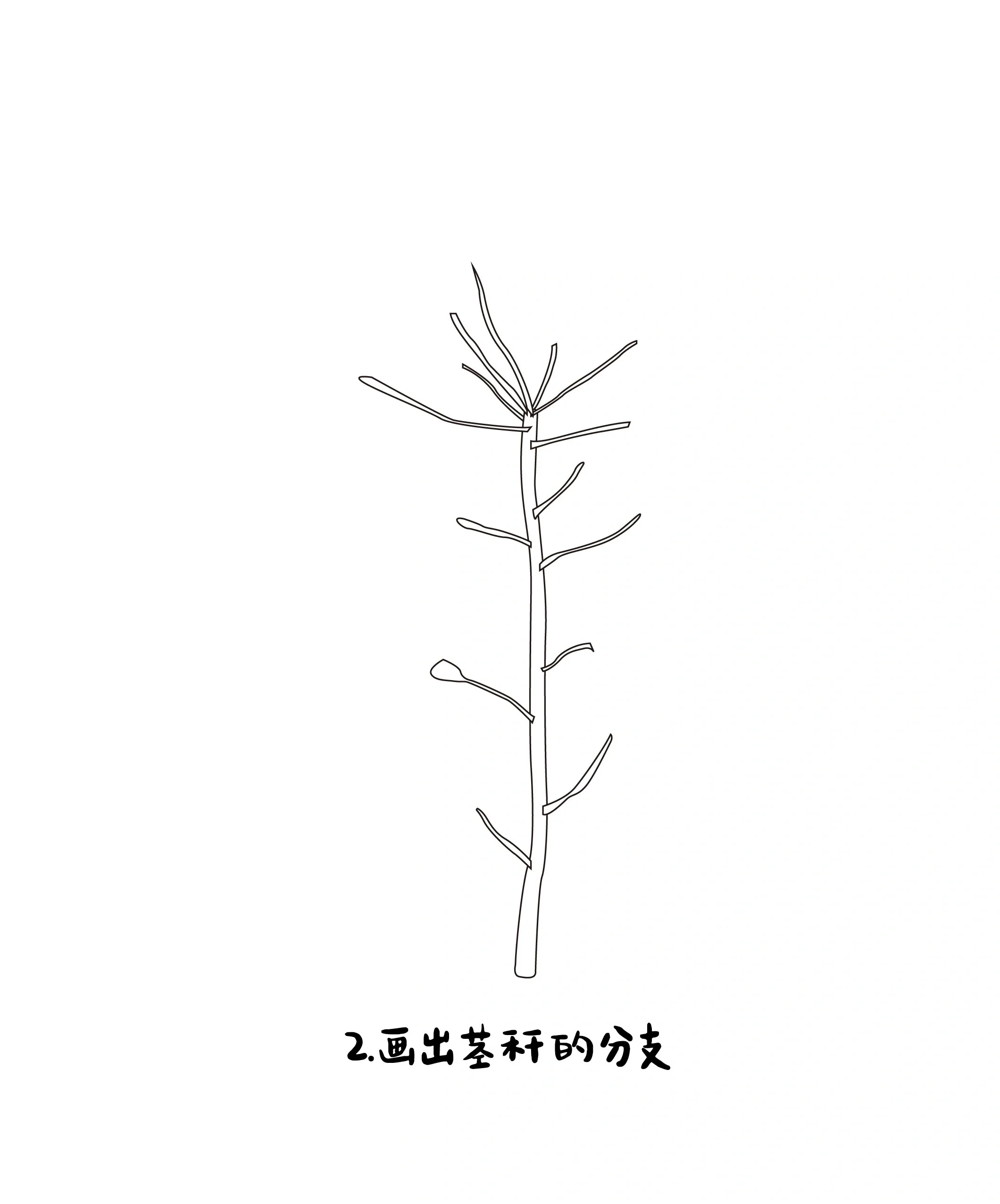 油菜花简笔画 油菜花简笔画