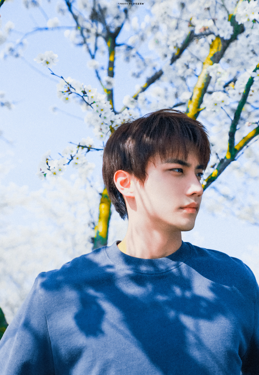 陈鑫海#  *  壁纸  花开94