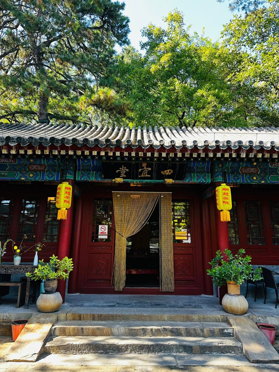 秋色·大觉寺·明慧茶院 秋·正午阳光,两杯清茶.