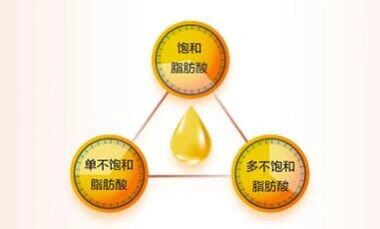 脂肪在营养中的重要作用 脂肪是由甘油和脂肪酸组成,是机体能量的一个
