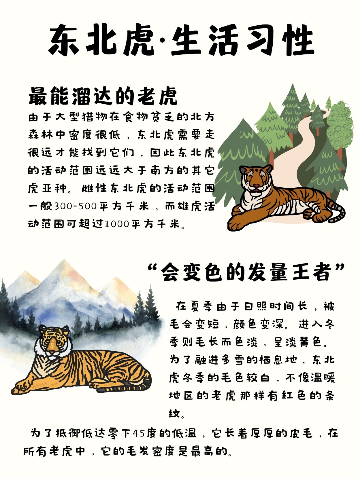 森林之王泰山图片