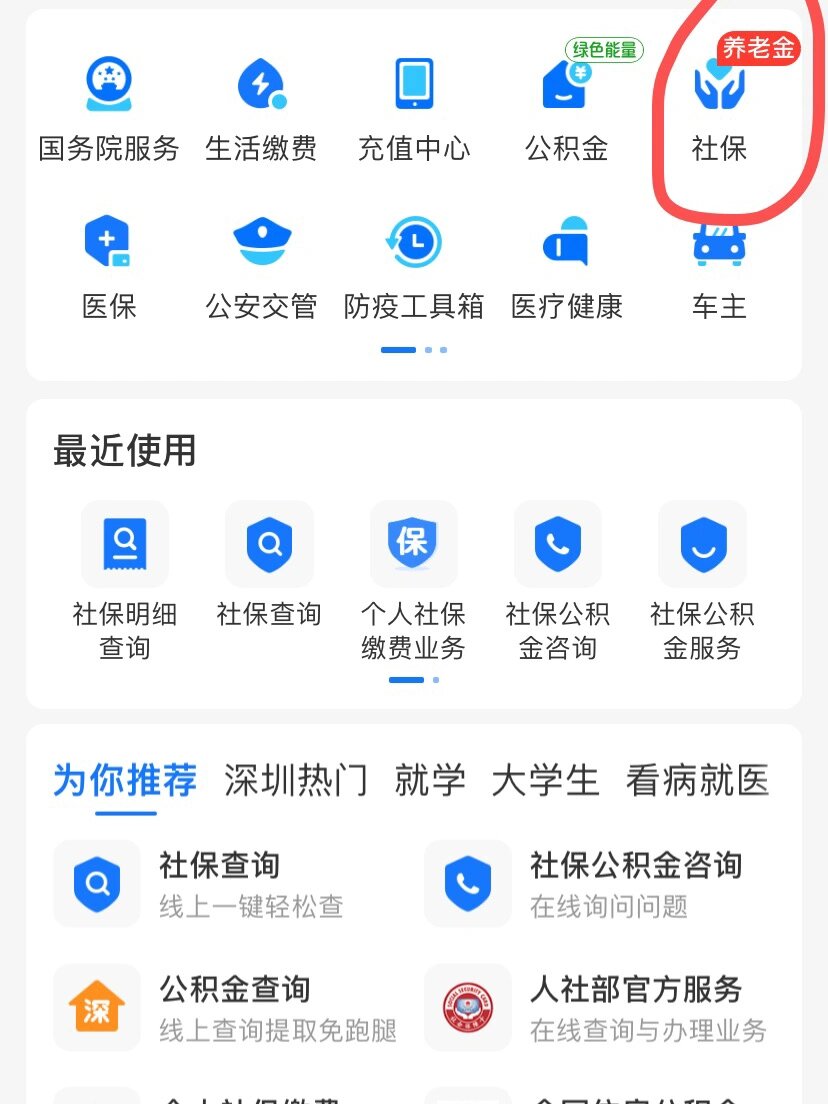 我的社保查询 明细图片