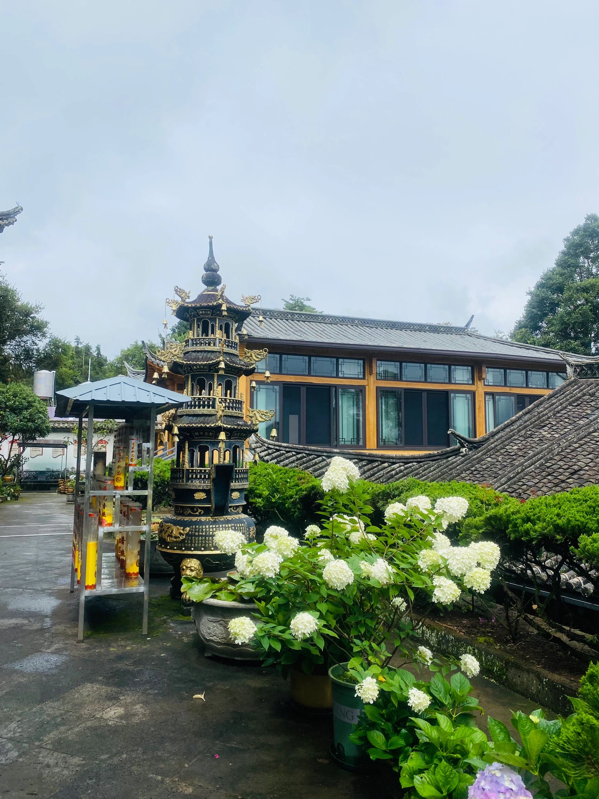 腾冲 | 中天寺:有一群可爱的小狐狸🦊