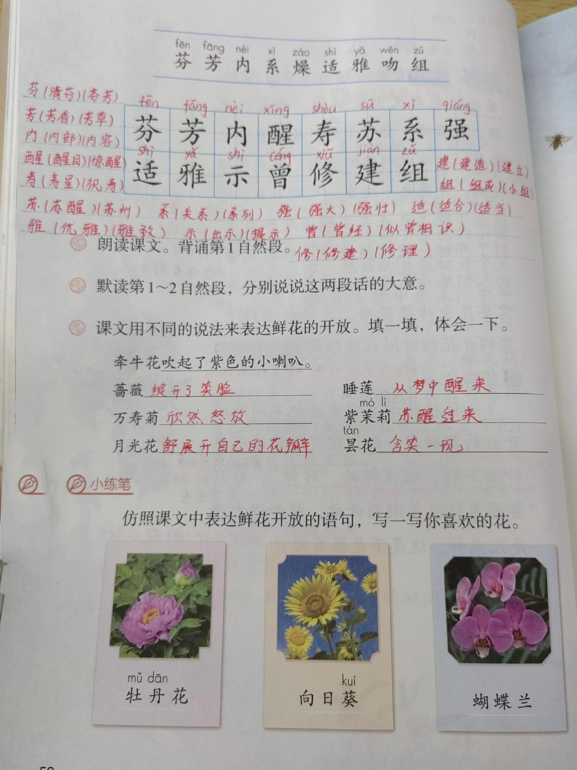 语文三下《花钟》课堂笔记@皓月山川的动态