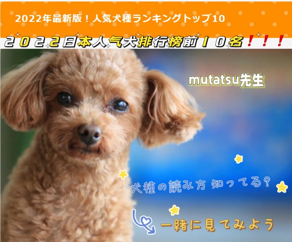 98959569002022日本人气犬排行榜前十名75157515