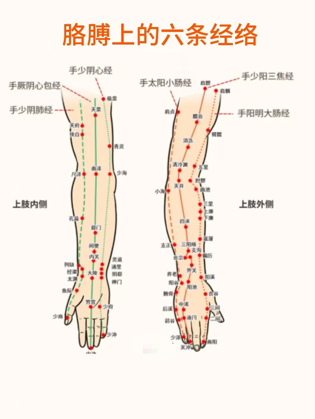 胳膊上有六条经络,分为外侧的三条阳经和内侧的三条阴经