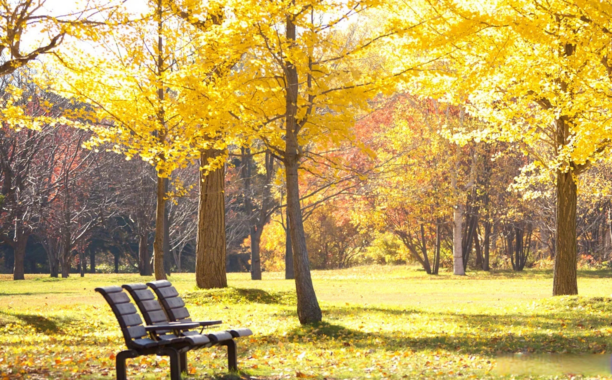 人生的舞台上处处都有精彩.与其羡慕他人的位置,不如演好自己的角色.