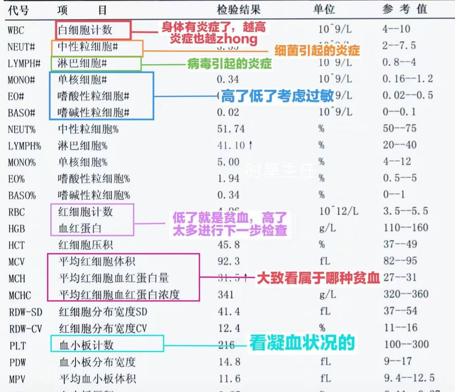 血常规正常结果图图片