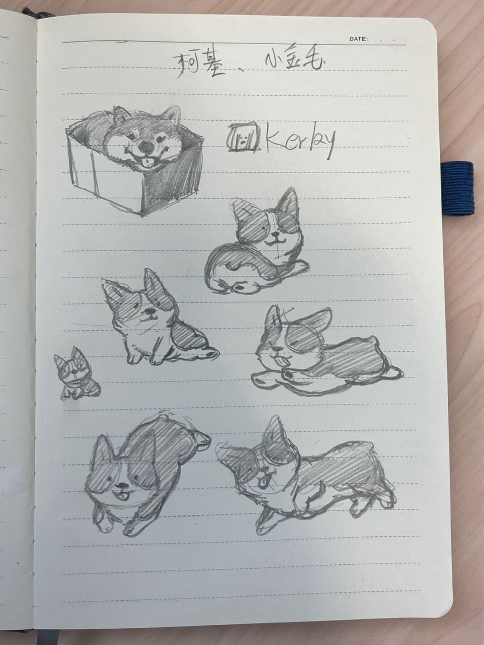 🐶狗狗简笔画100-12|柯基 狗狗简笔画第12弹!今天是小柯基![期待] 