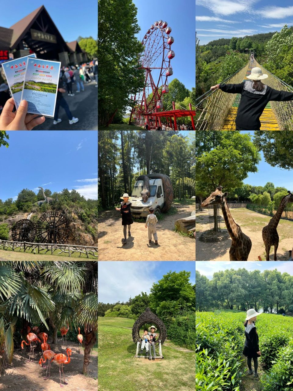 安吉中南百草园一日超详细攻略! 准备. 1.