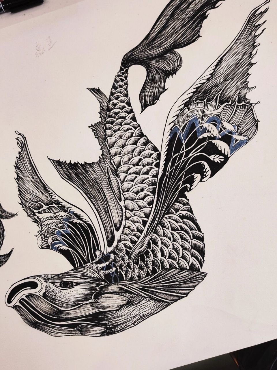 《山海经》赢鱼 无