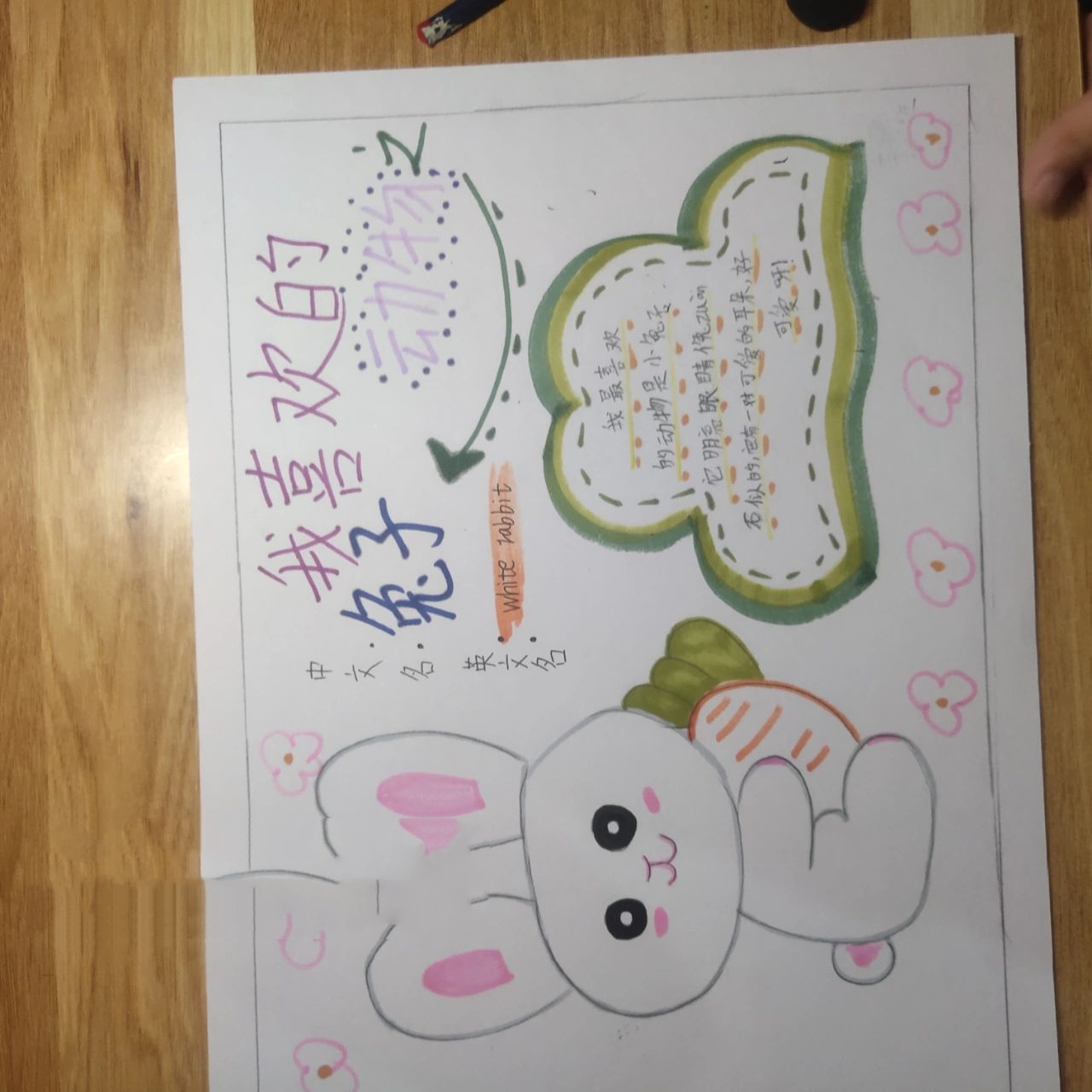 二年级下册手抄报73我最喜欢的动物