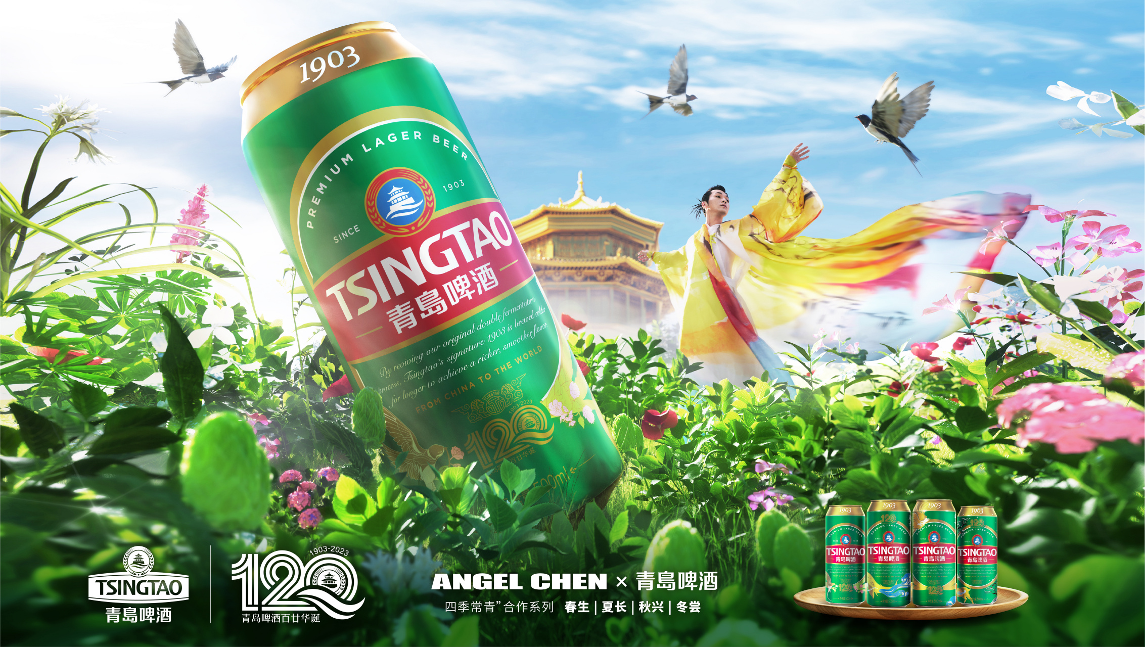 马晓龙derek#  青岛啤酒欢聚时刻 9195 #青岛啤酒四季常青