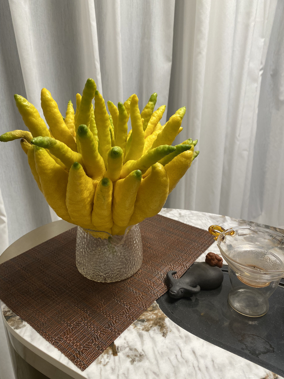 佛手柑(香橼) 第一次养这种植物,收到开箱时满屋香气,很惊喜,个头足足