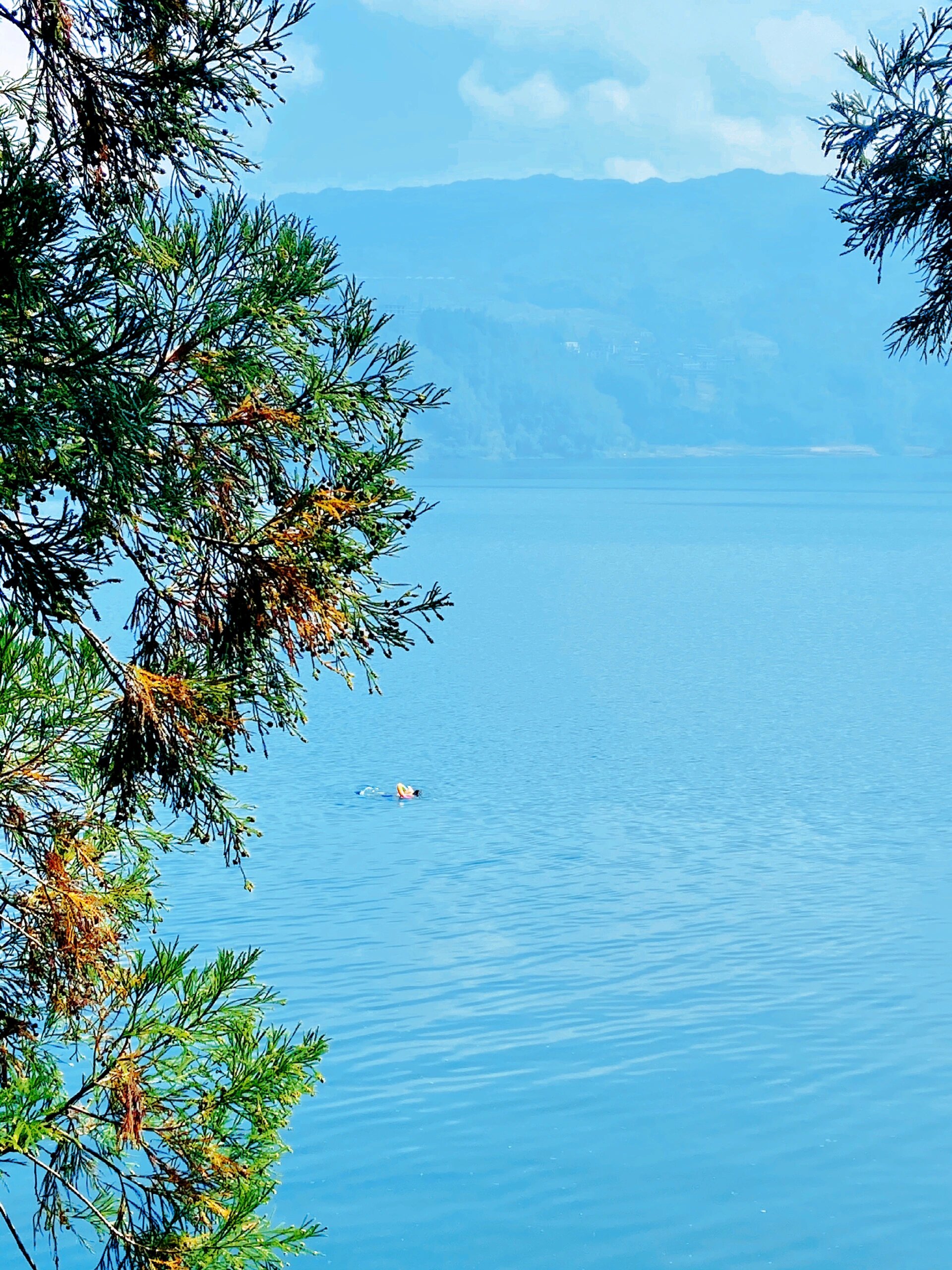 马湖是宜宾人的后花园吧95