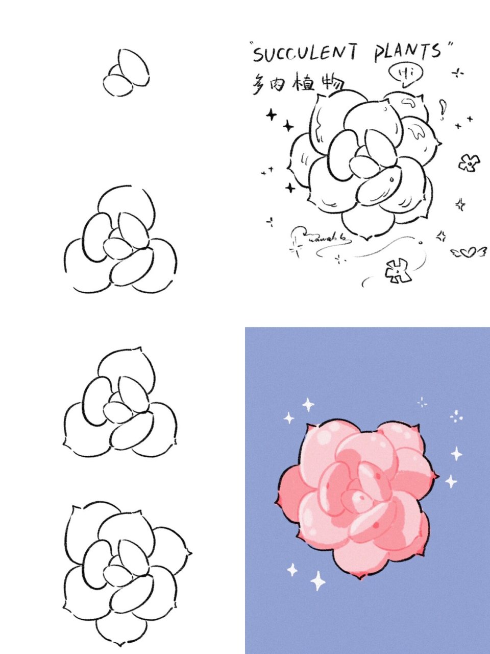 多肉简笔画教程丨粉雪莲丨可爱植物丨附过程