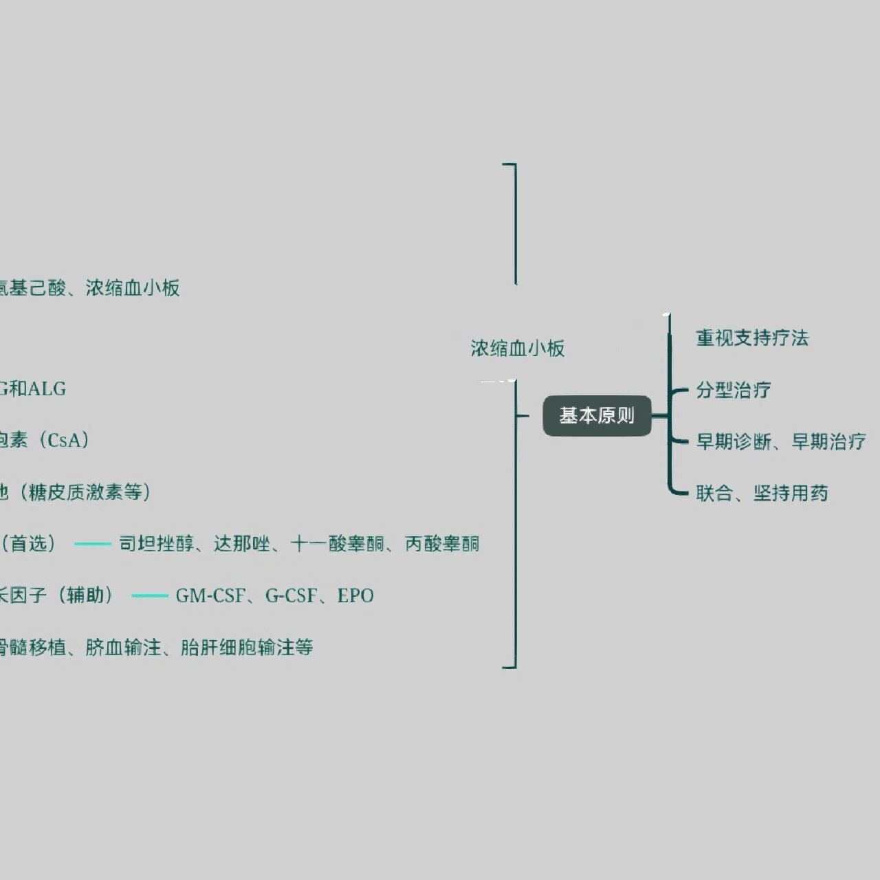 贫血性疾病思维导图图片