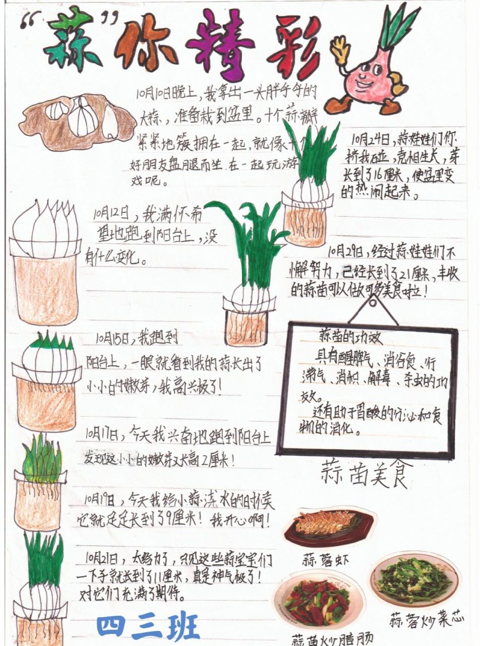 植物生长记录表 小学语文四年级植物生长记录,大蒜的成长过程《蒜你