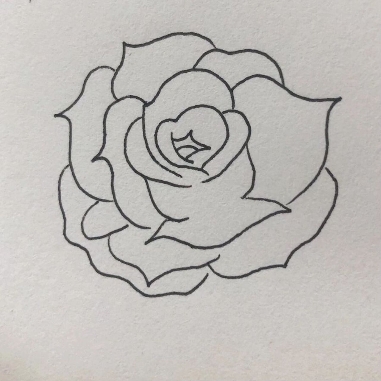 简笔画|玫瑰花绘画教程73 出个玫瑰花的绘画步骤吧 喜欢的友友赶快