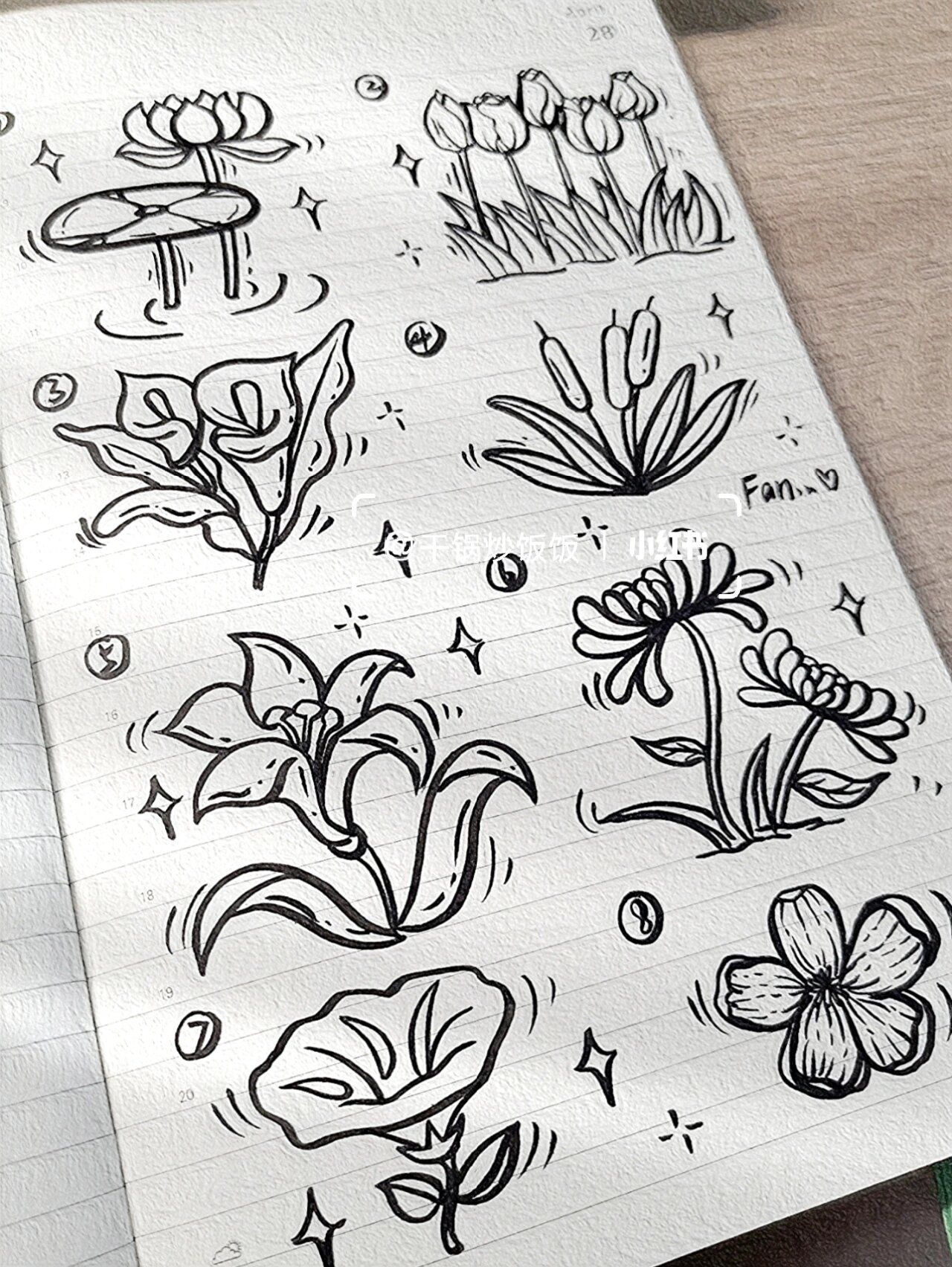 今日简笔画(71)‖八种花花画法