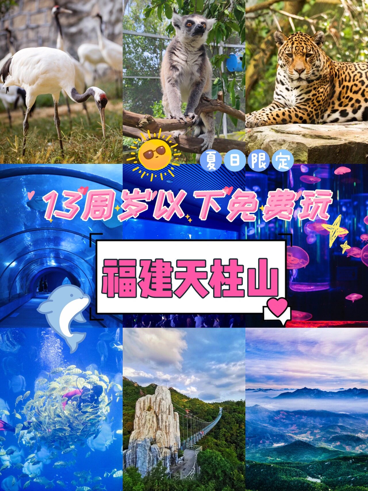 福建天柱山游玩攻略|2天1夜暑期宝藏干货6015