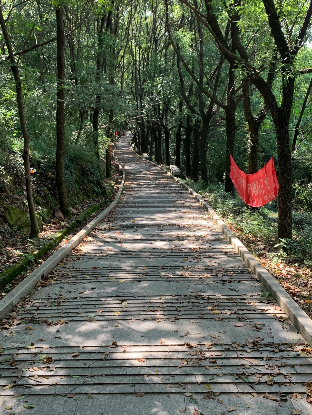 江南寻迹 位于无锡,江阴,常熟交接处的顾山,又名三界山.