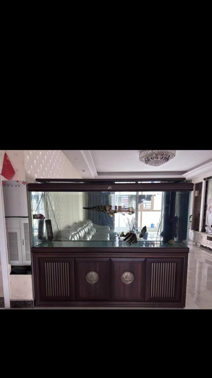 出实木制的鱼缸,颜色为深棕色,款式为龙鱼缸,长2米,,宽60.