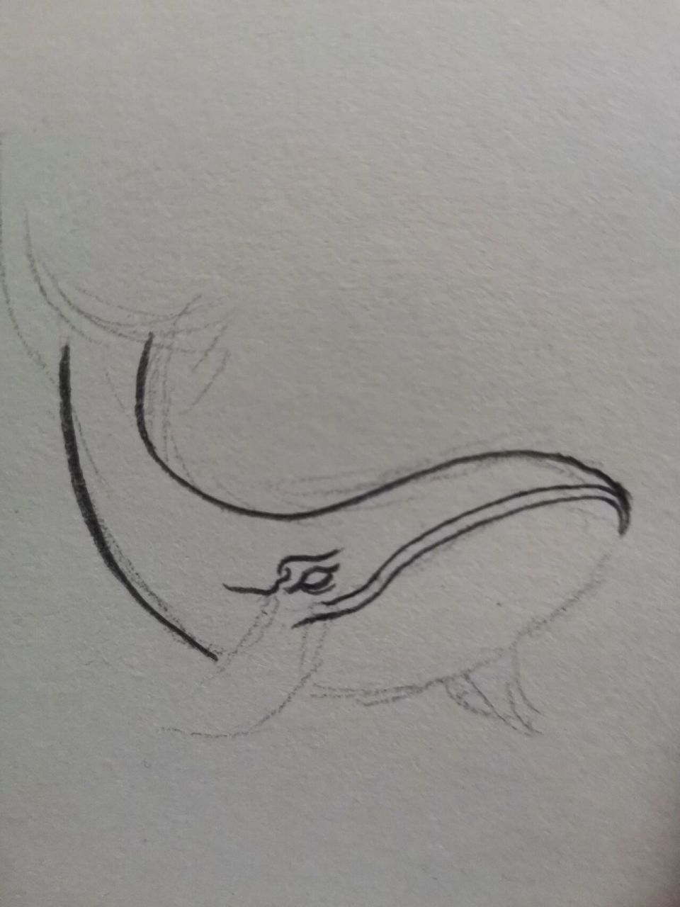 鲸鱼绘画过程