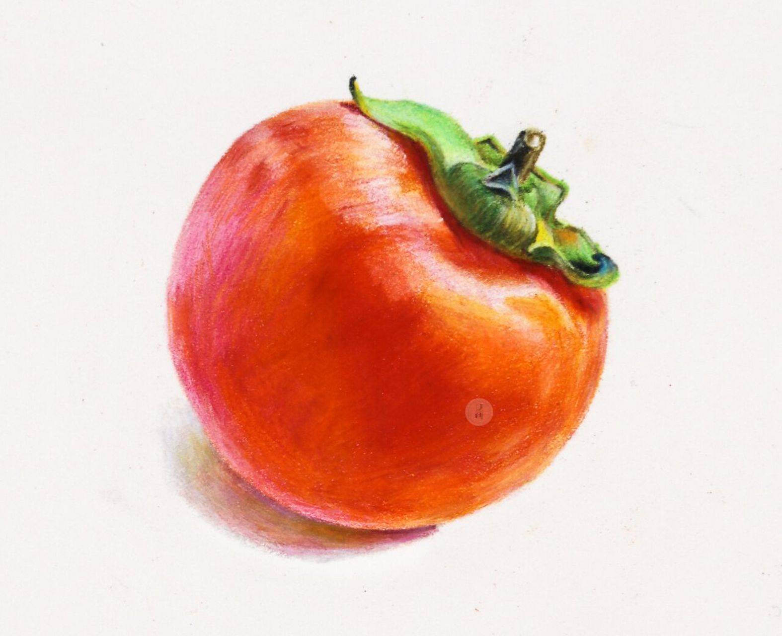 彩铅—柿柿如意05 喜欢吃什么柿子呀?