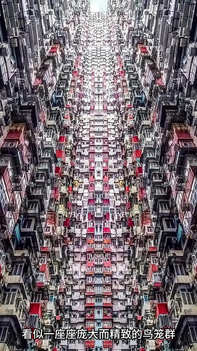 香港鸽子房图片