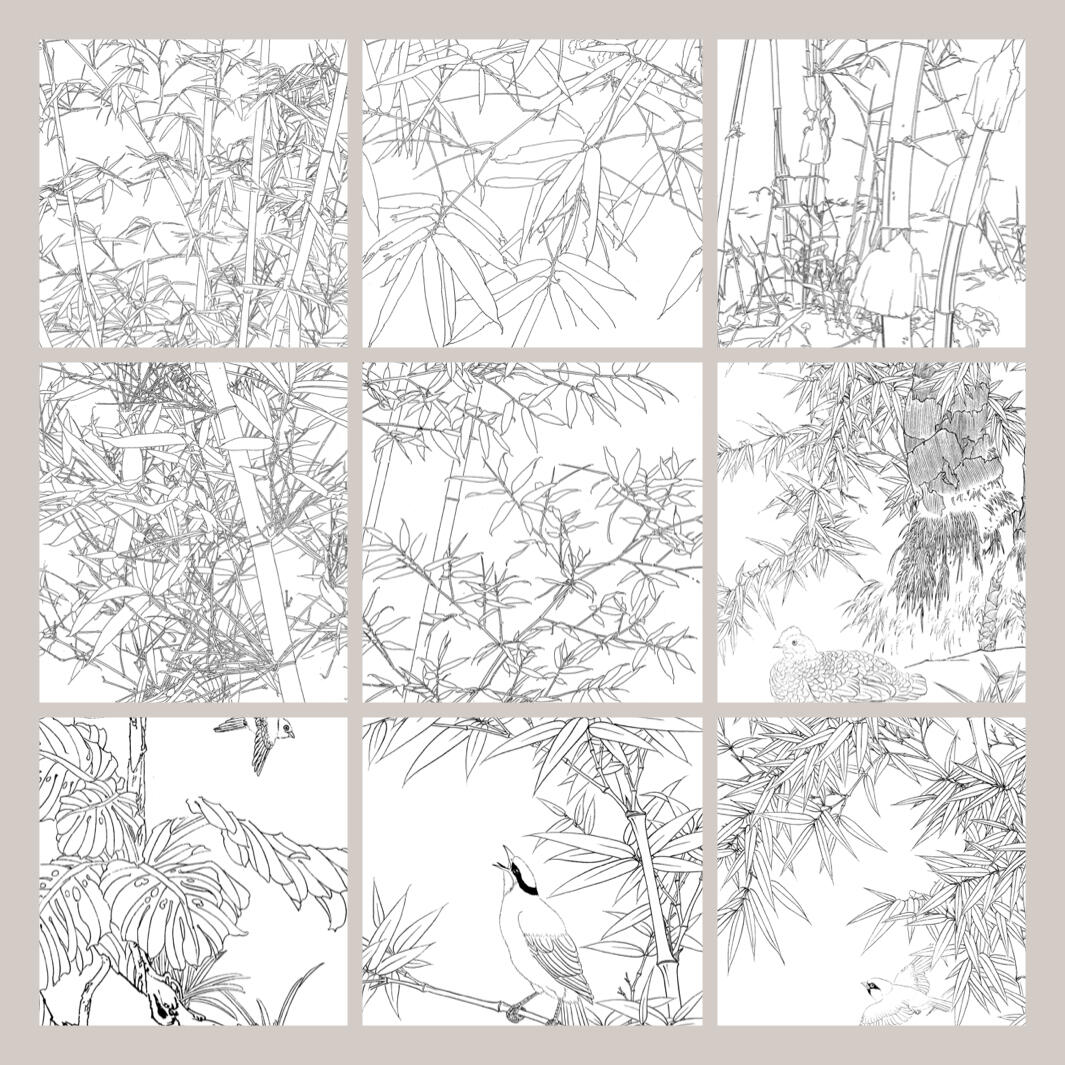 梅兰竹菊/竹/四君子/中国传统文化/国画/线描/白描/国画底稿/中国传统