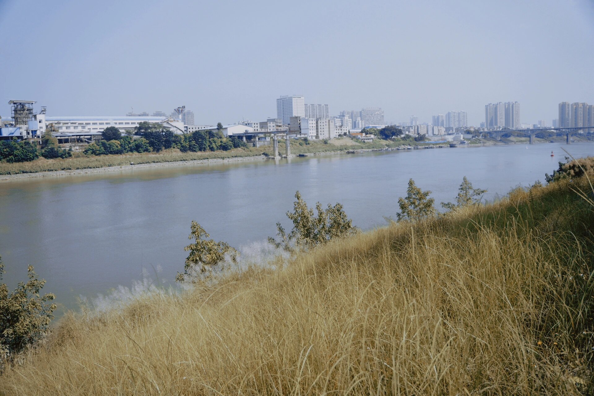 贵港┆拍照好地方「滨江公园」 芦苇季 想拍照的姐妹选个好天气就冲吧