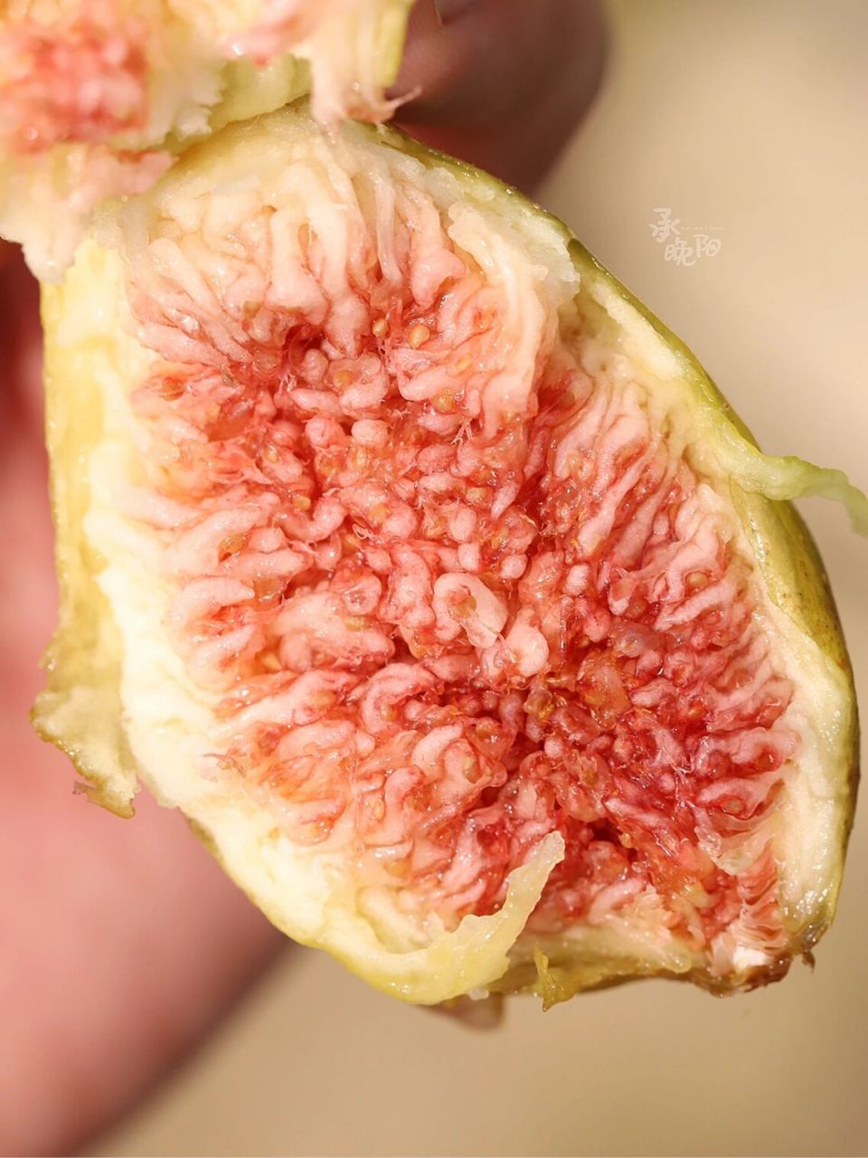 高甜丰产无花果品种推荐——芭劳奈 品种名:芭劳奈 种类:夏秋果兼用