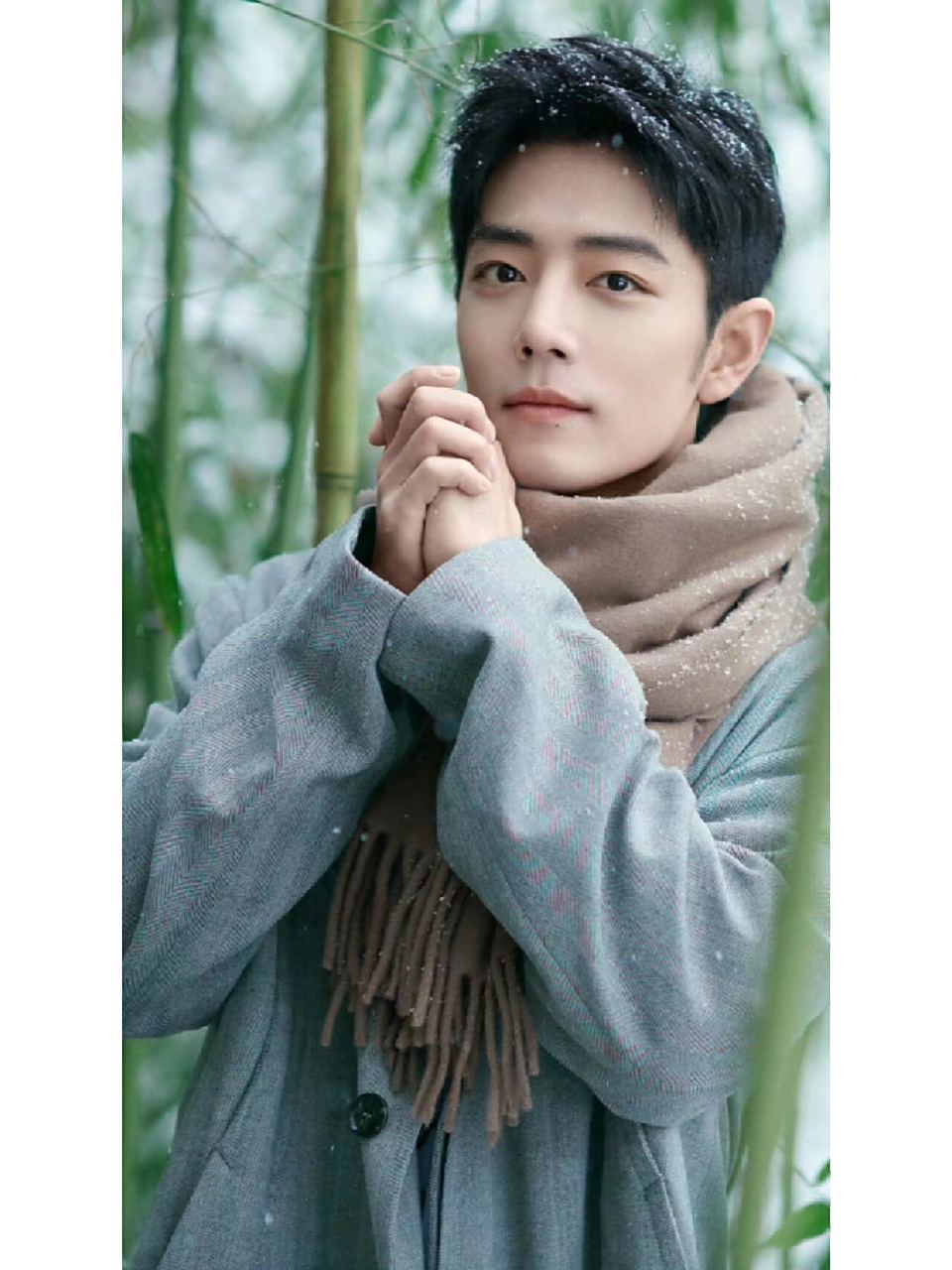 肖战冬日竹林大片 这组照片真的好好看啊,疯狂舔屏中