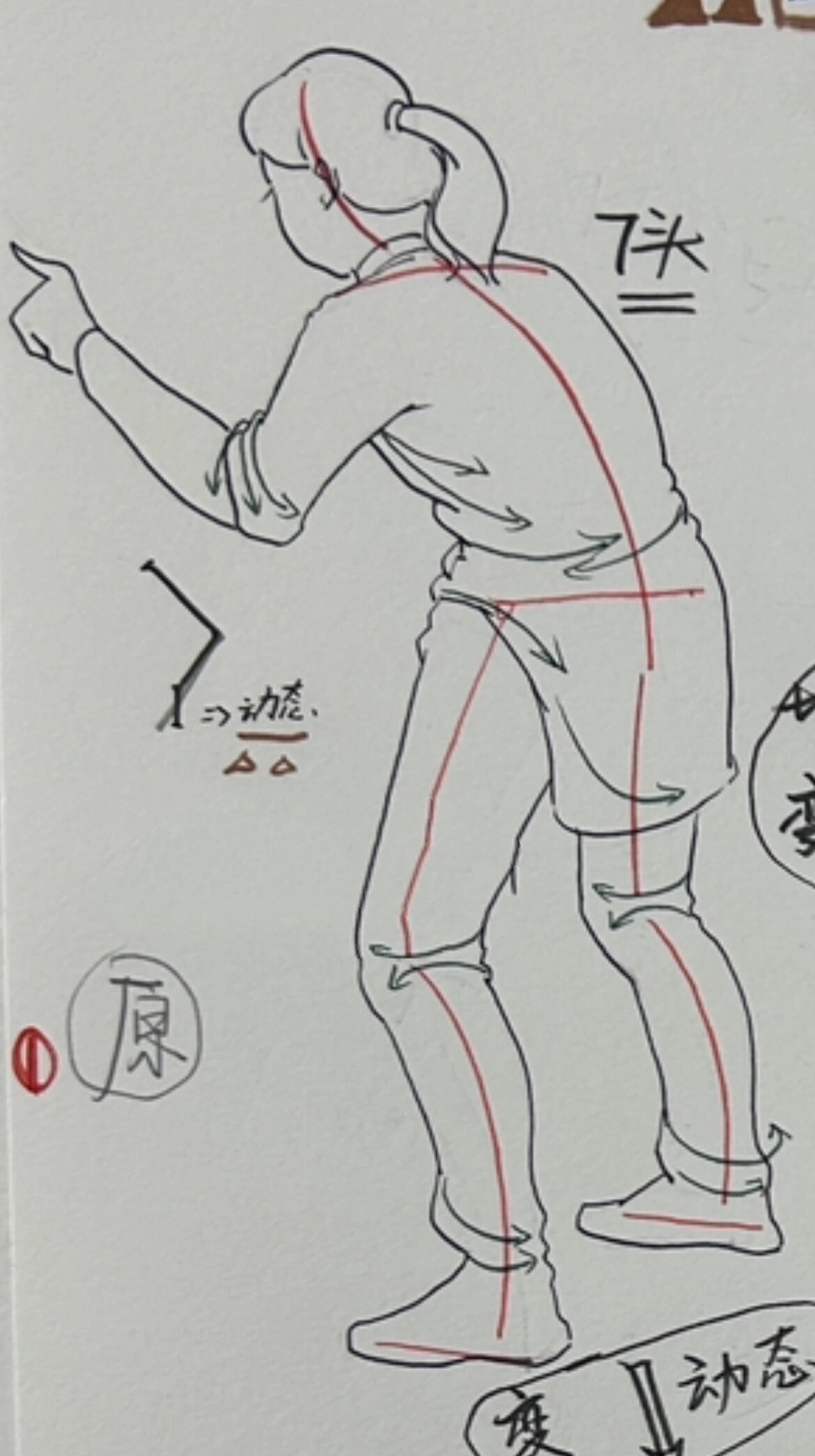 速写人物背面模版 第一个大家都背熟了吧