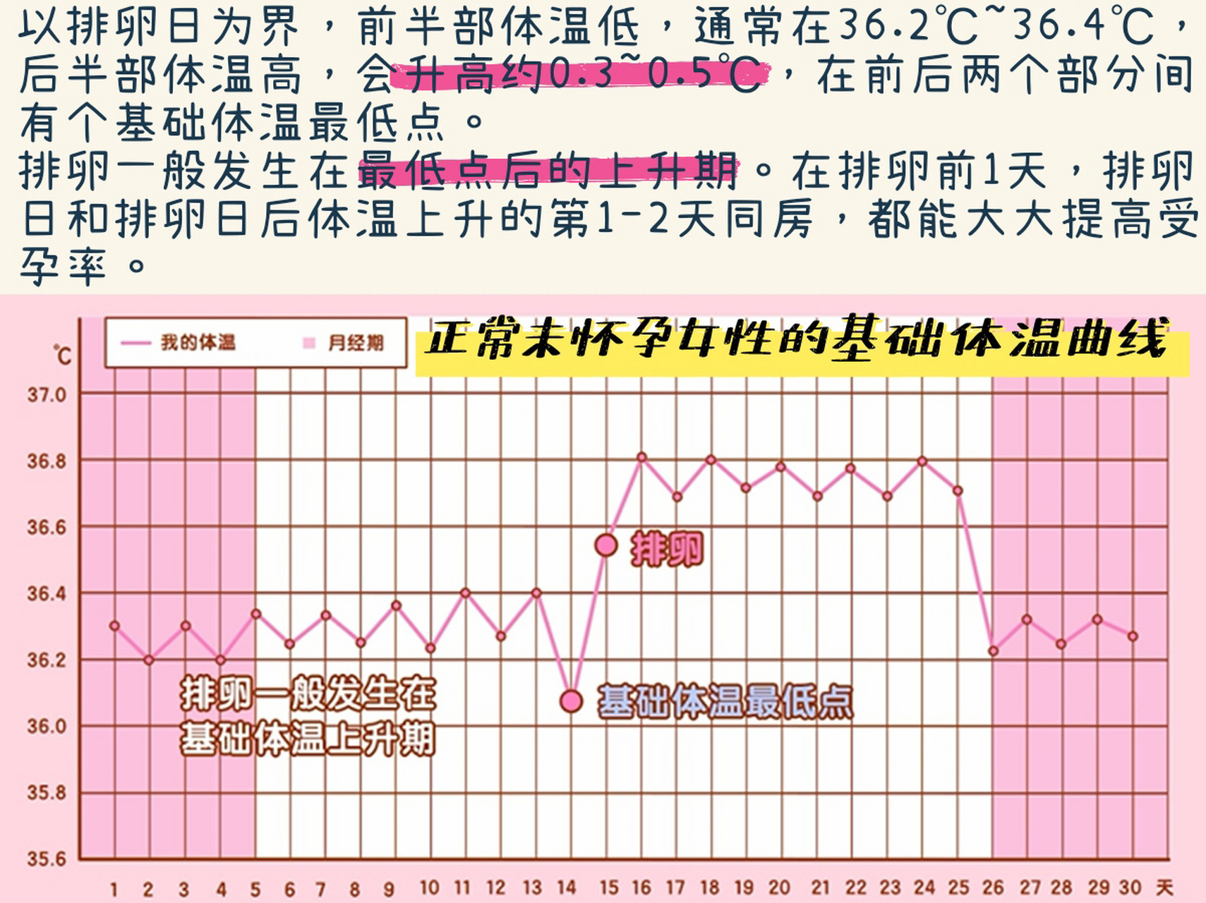 排卵基础体温图图片