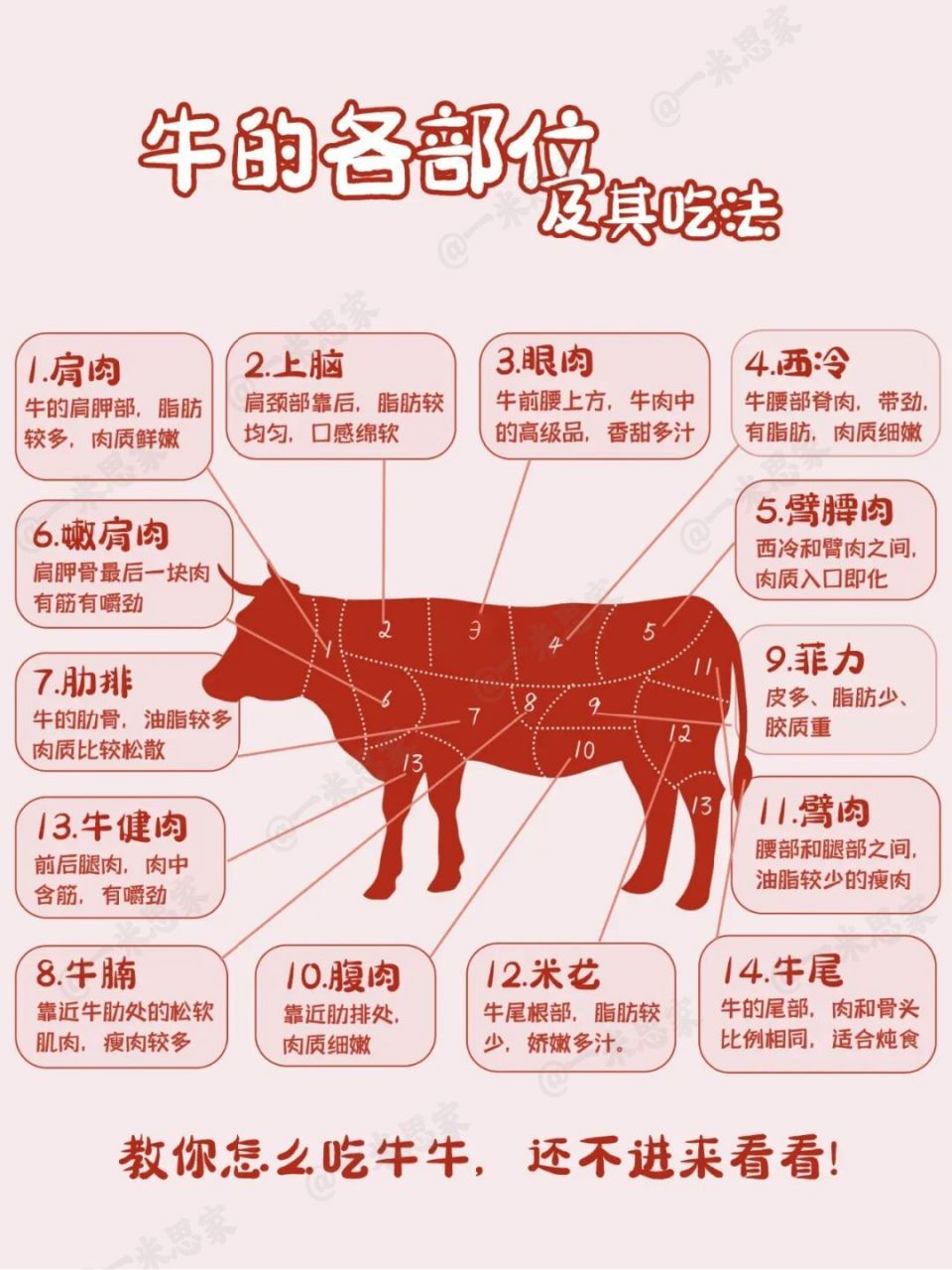 牛肉各部位的位置和吃法详情讲解 附图～简单易懂 牛肉含有丰富的蛋白