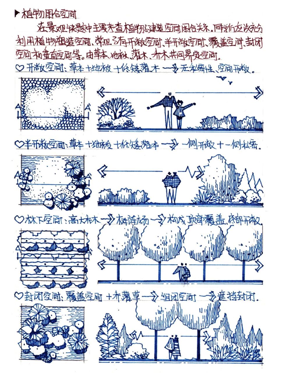 植物空间层次图片