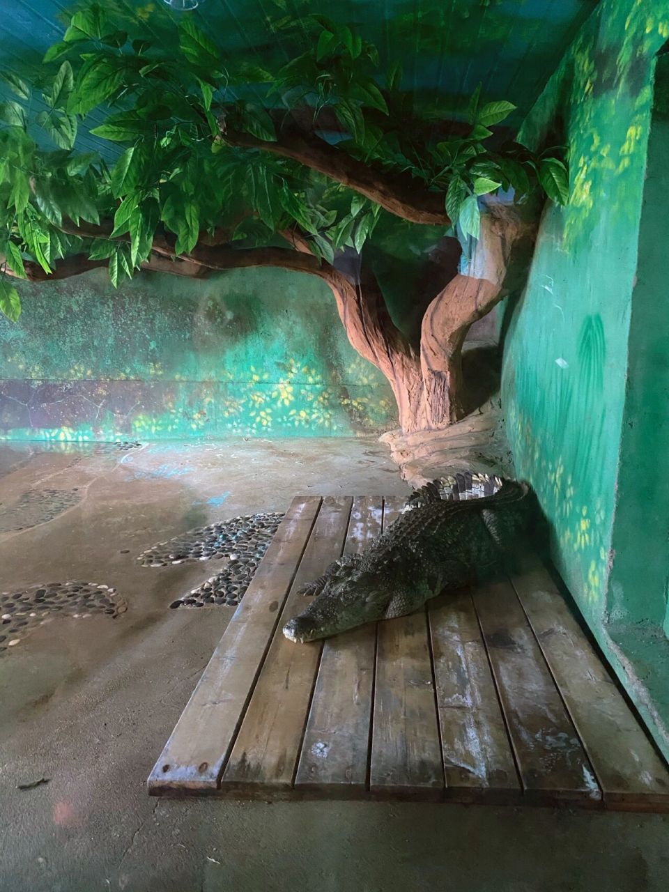 盘锦打卡|辽河湿地动物园 门票99:某团,某程,某众上都是48.门口50.